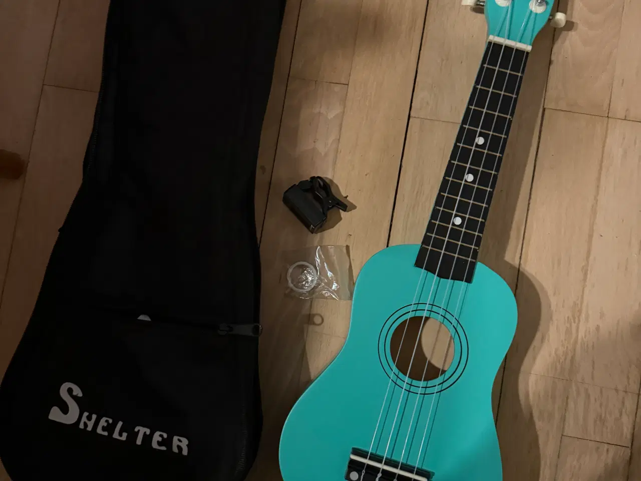 Billede 1 - Ukolille til salg 