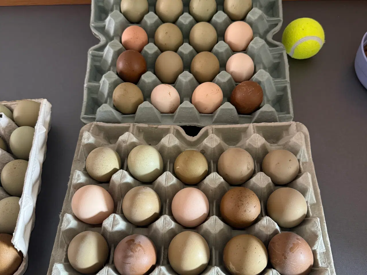 Billede 1 - Rugeæg fra blandede høns stor race