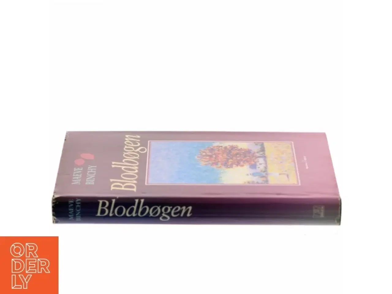 Billede 2 - Blodbøgen af Maeve Binchy