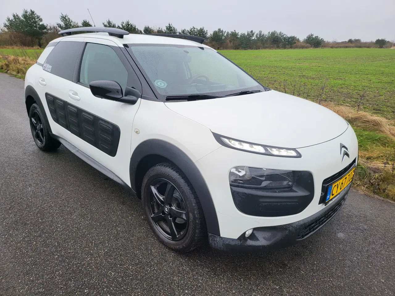 Billede 3 - Momsfri C4 cactus med automatgear 