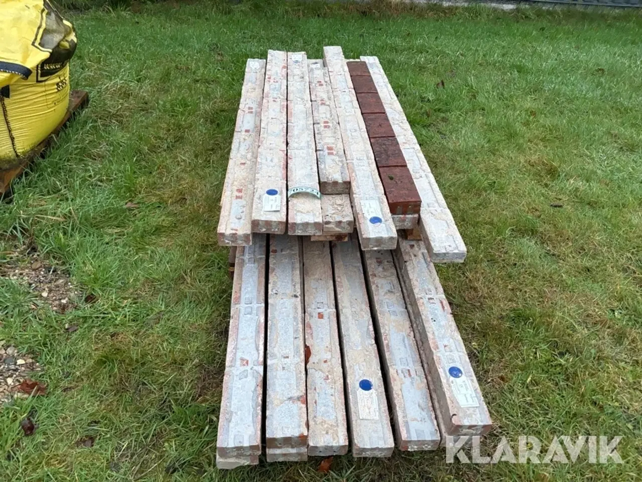 Billede 6 - Overlæggere 21 styk