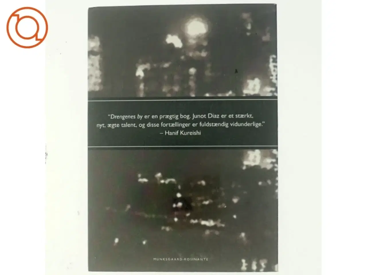 Billede 3 - Drengenes by : roman af Junot Díaz (Bog)