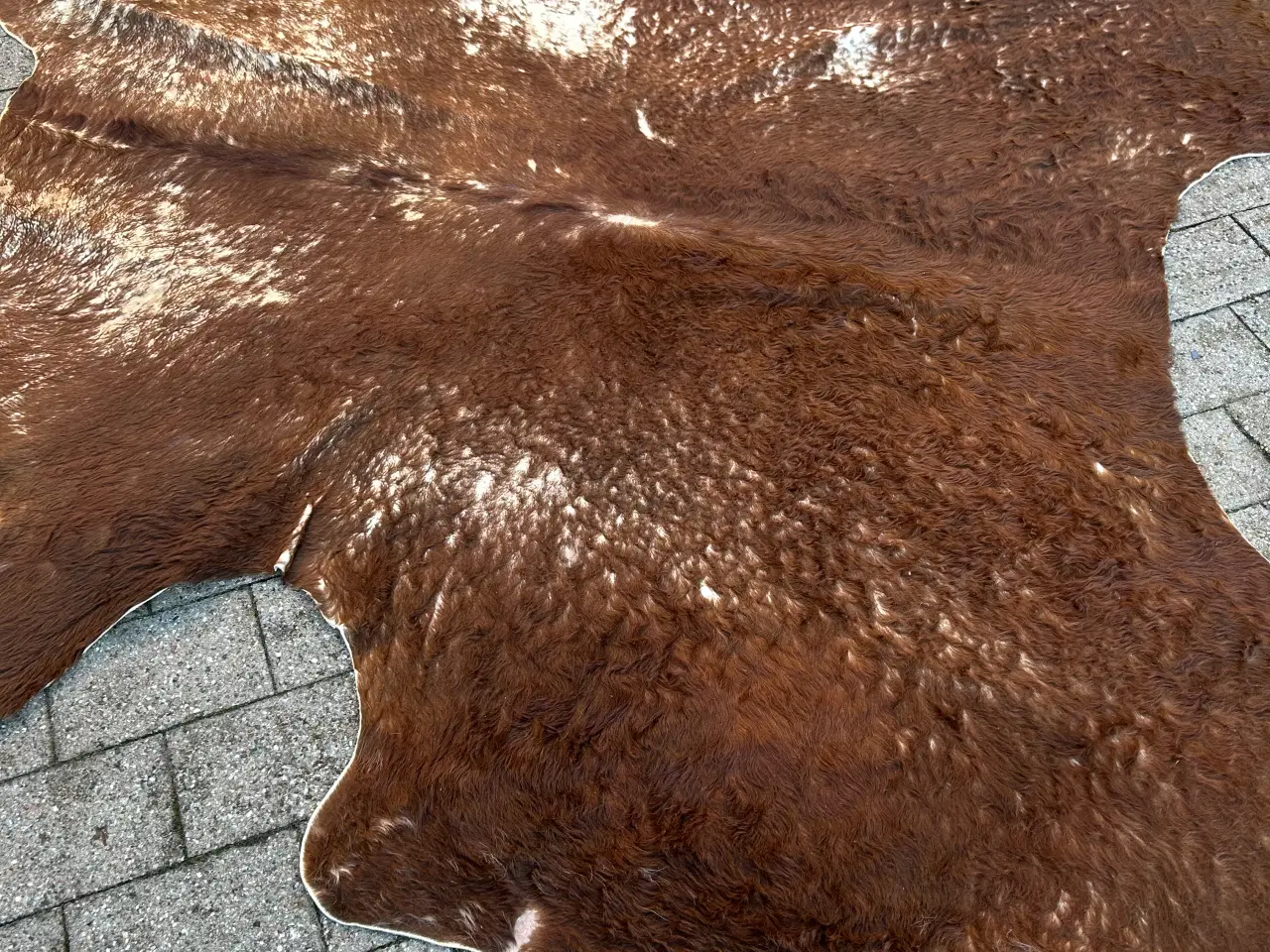 Billede 2 - Ko tæppe i slidstærkt materiale