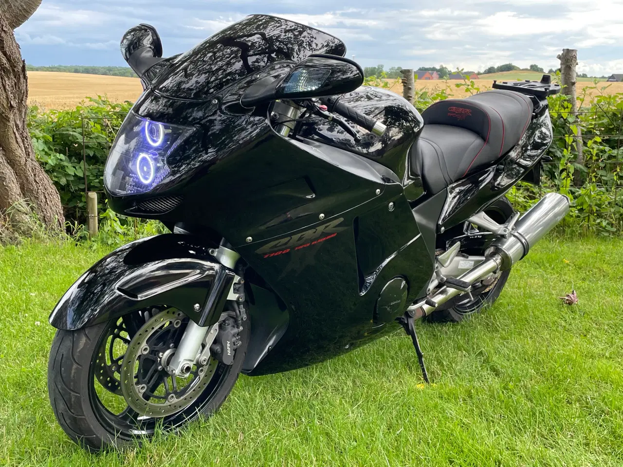 Billede 1 - HONDA CBR 1100 XX BLACKBIRD