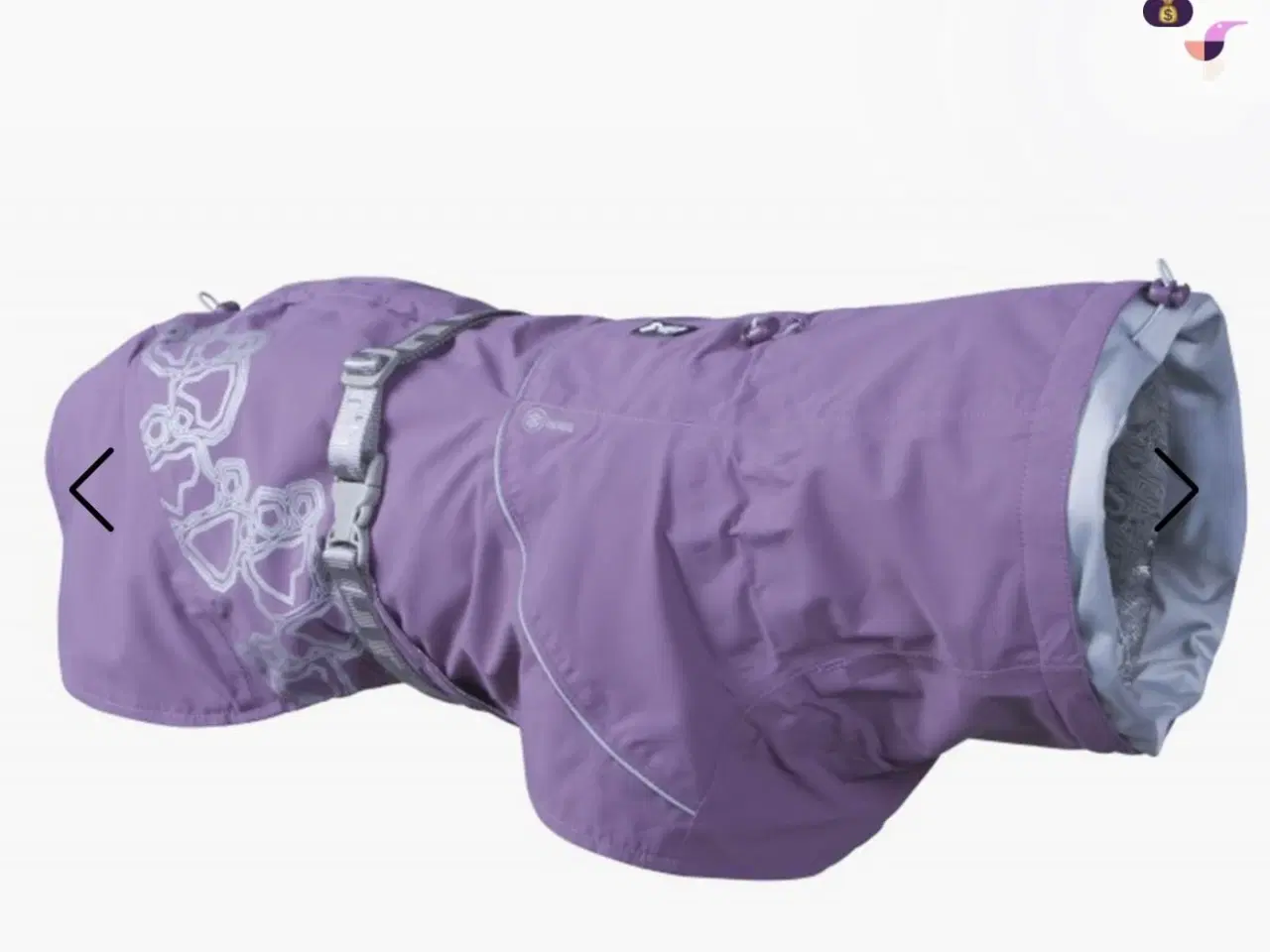 Billede 5 - Til hund