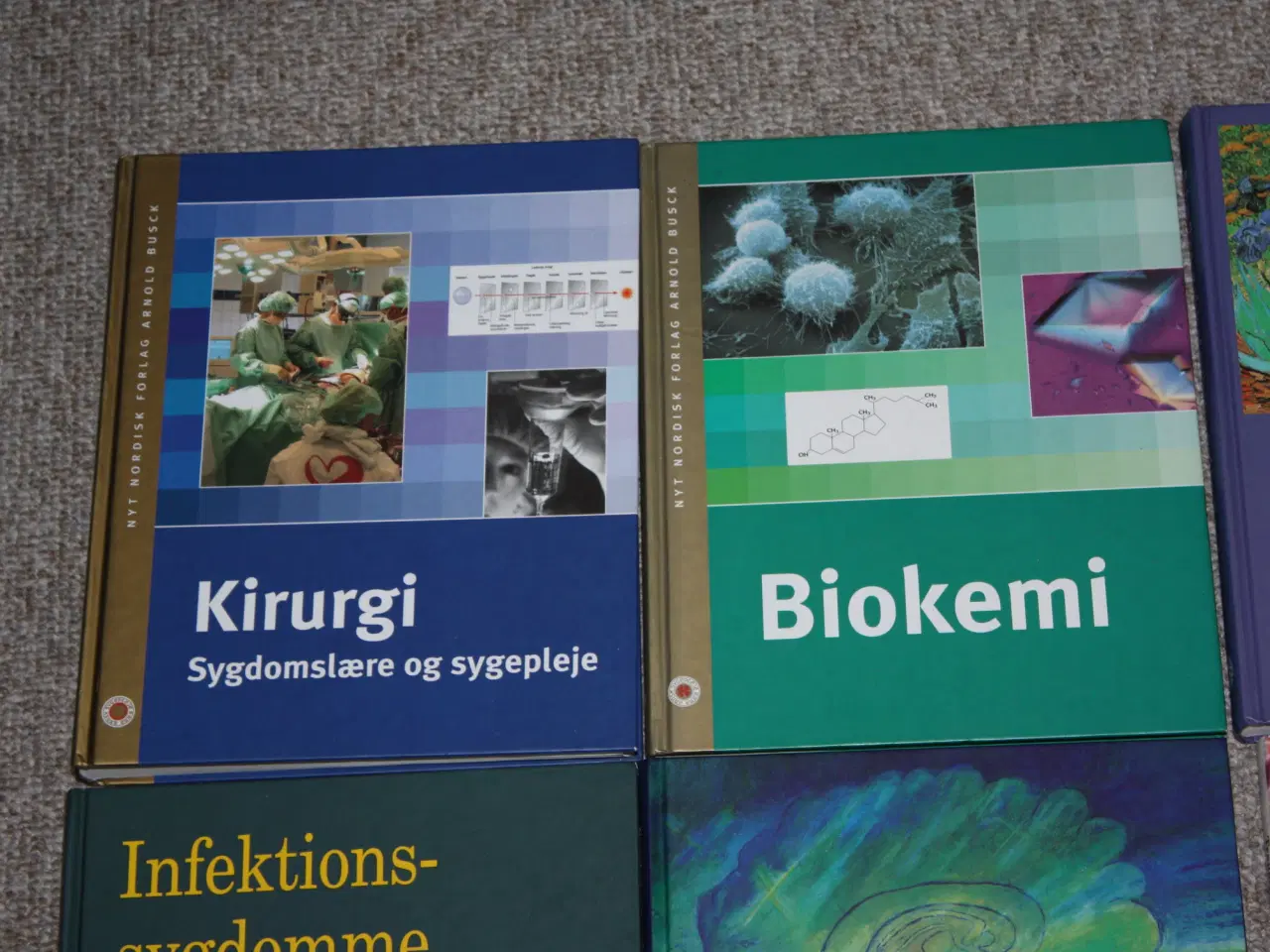 Billede 2 - Kirurgi Sygdomslære og sygepleje Biokemi 