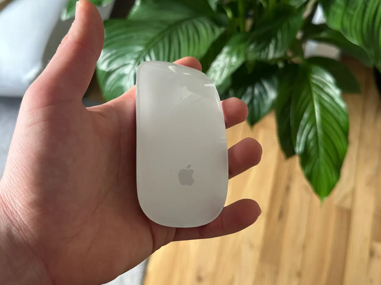 Billede 4 - Magic Keyboard m. Touch ID og num (+Apple Mouse)