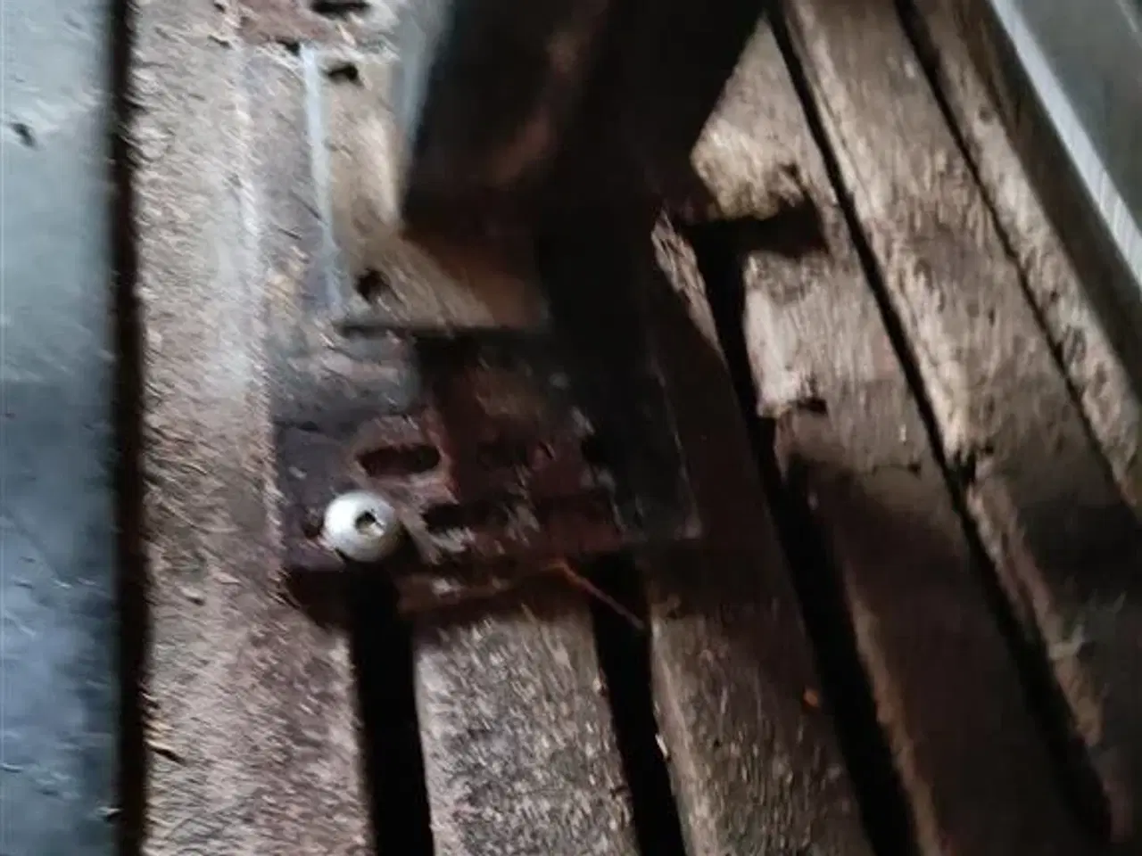 Billede 11 - - - - Egebjerg Æde / hvile boks ca. 400 stk.