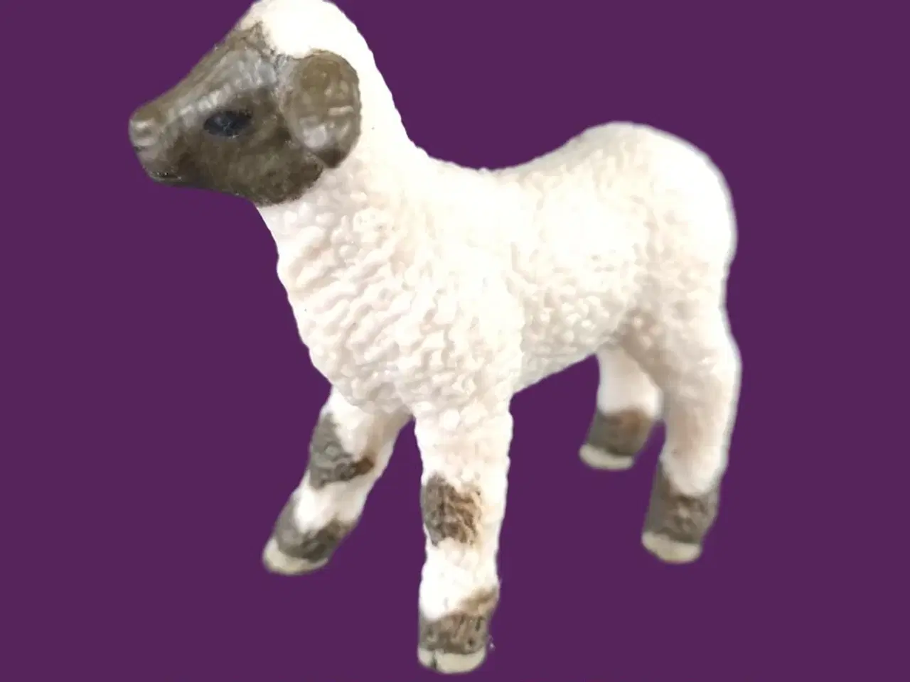 Billede 1 - Schleich MCD2020d Lamb (2020)