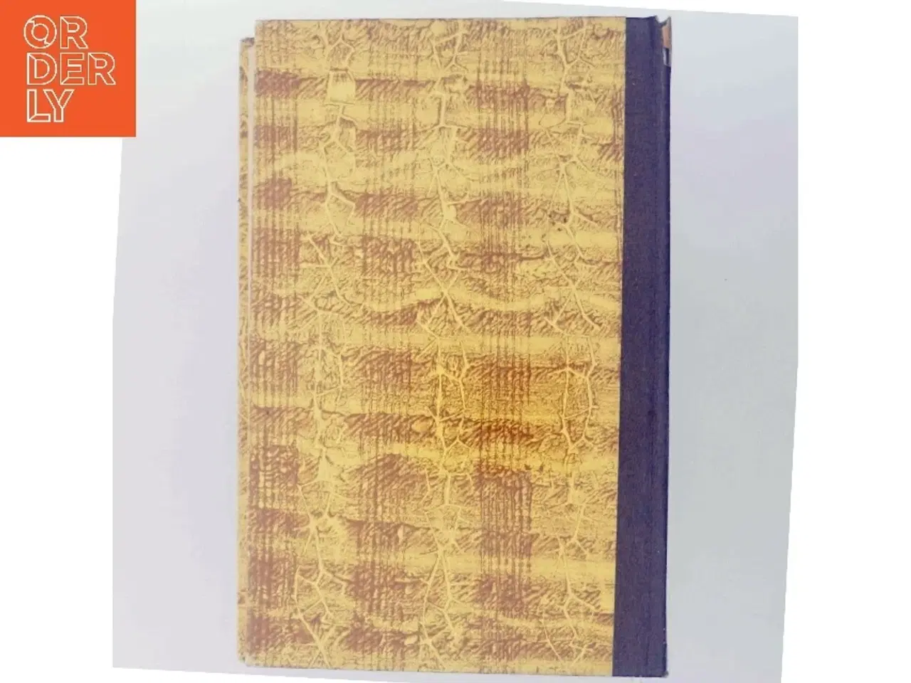 Billede 3 - Huset ved Stranden af Daphne Du Maurier (Bog)