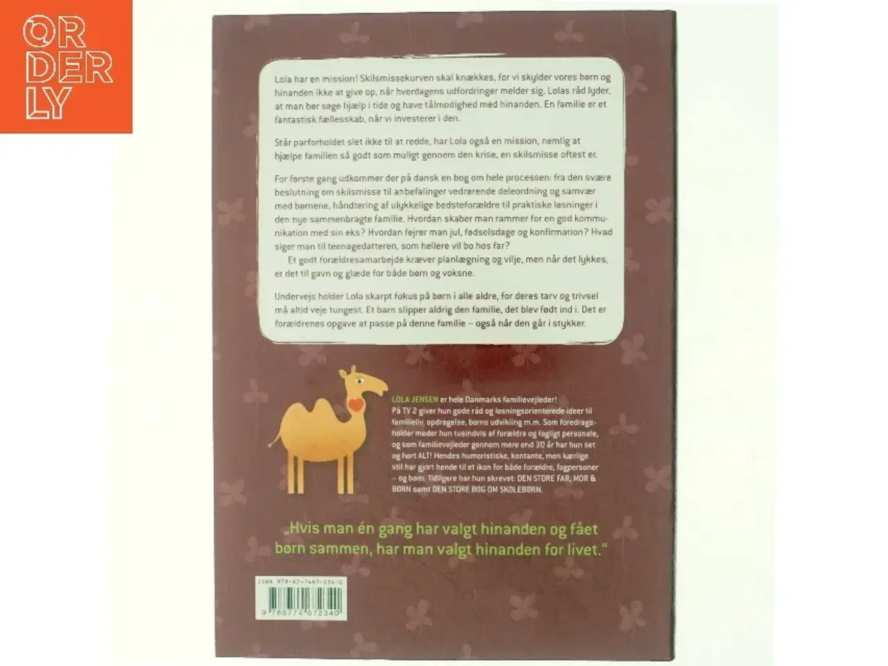 Billede 4 - Pas på familien : - også når den går i stykker af Lola Jensen (Bog)