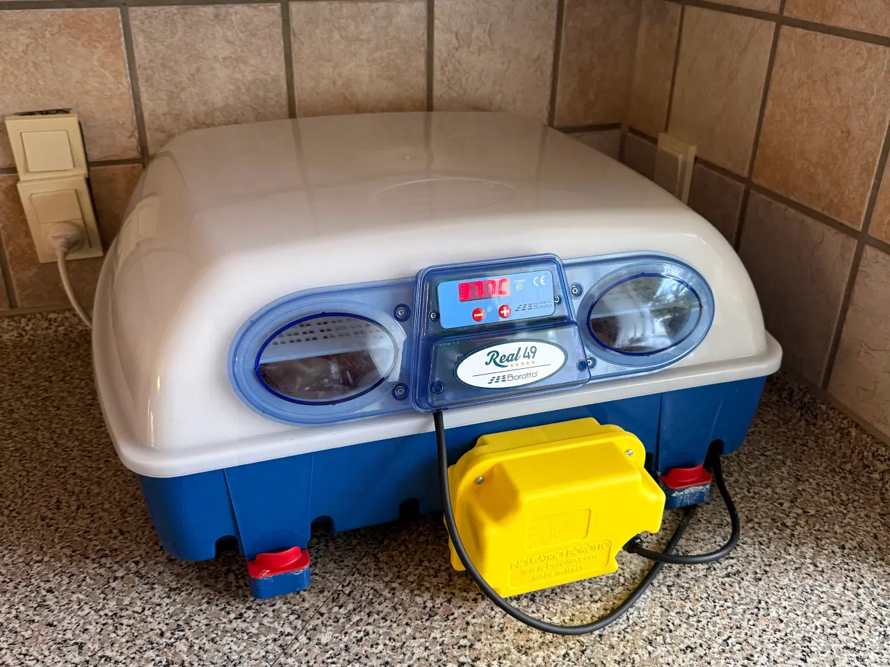 Billede 1 - Tilbyder udrugningen af din æg 