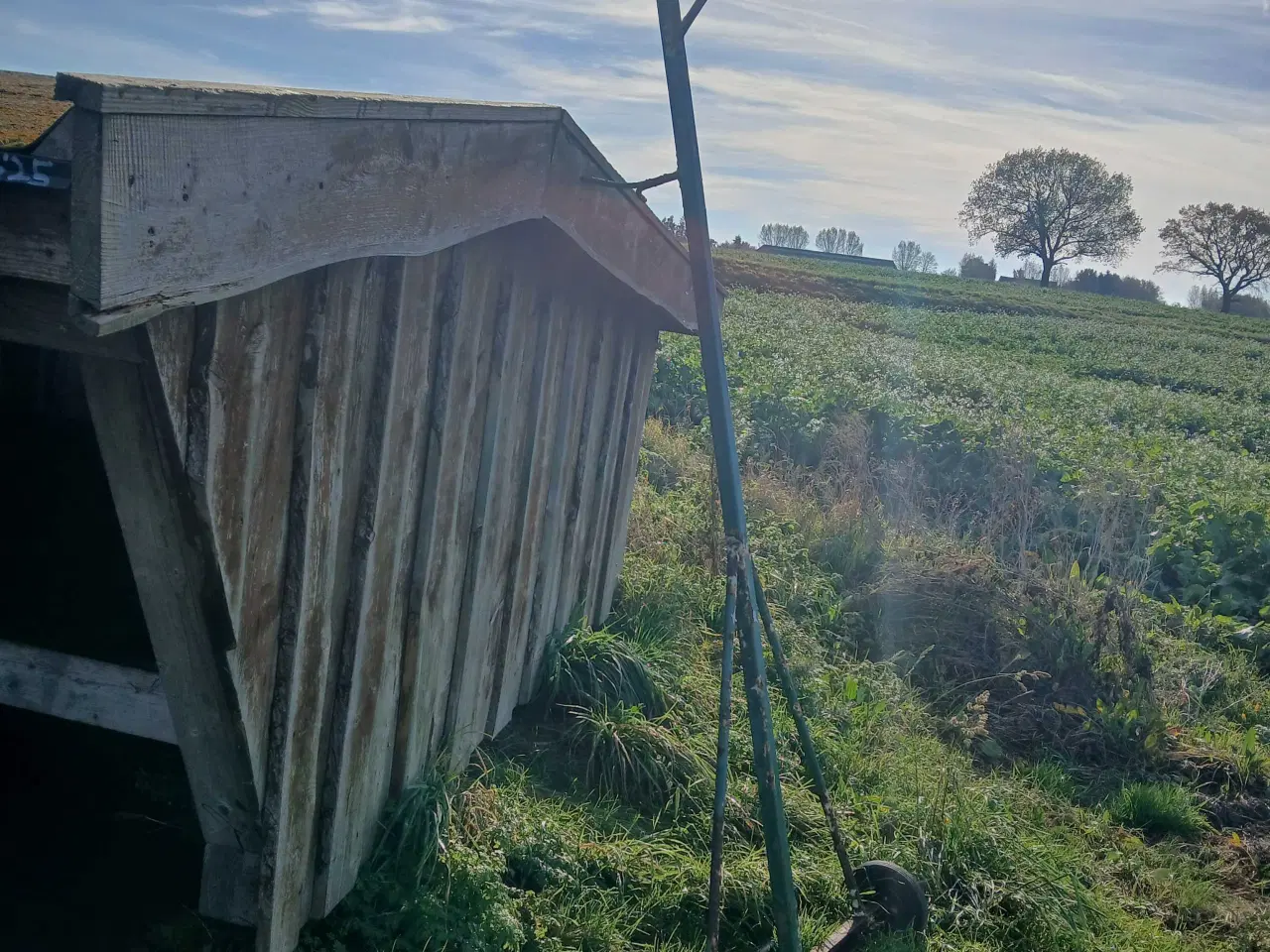 Billede 4 - Jagtpram med indenbordsmotor