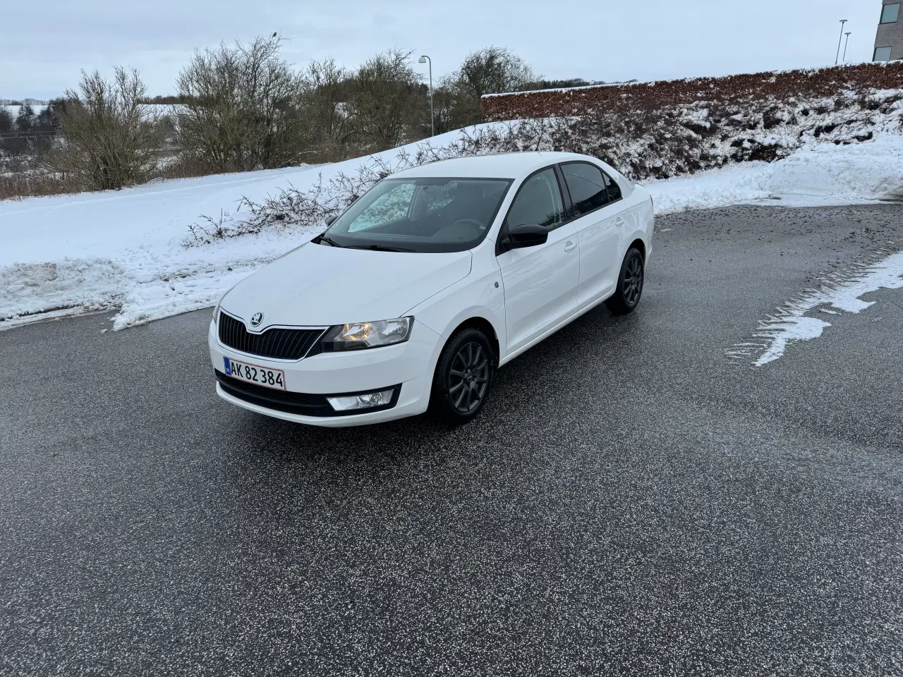 Billede 1 - Nysynet og nyserviceret 