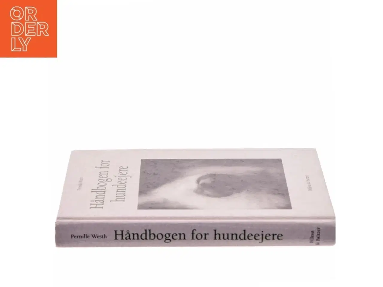 Billede 2 - Håndbogen for hundeejere af Pernille Westh (Bog)
