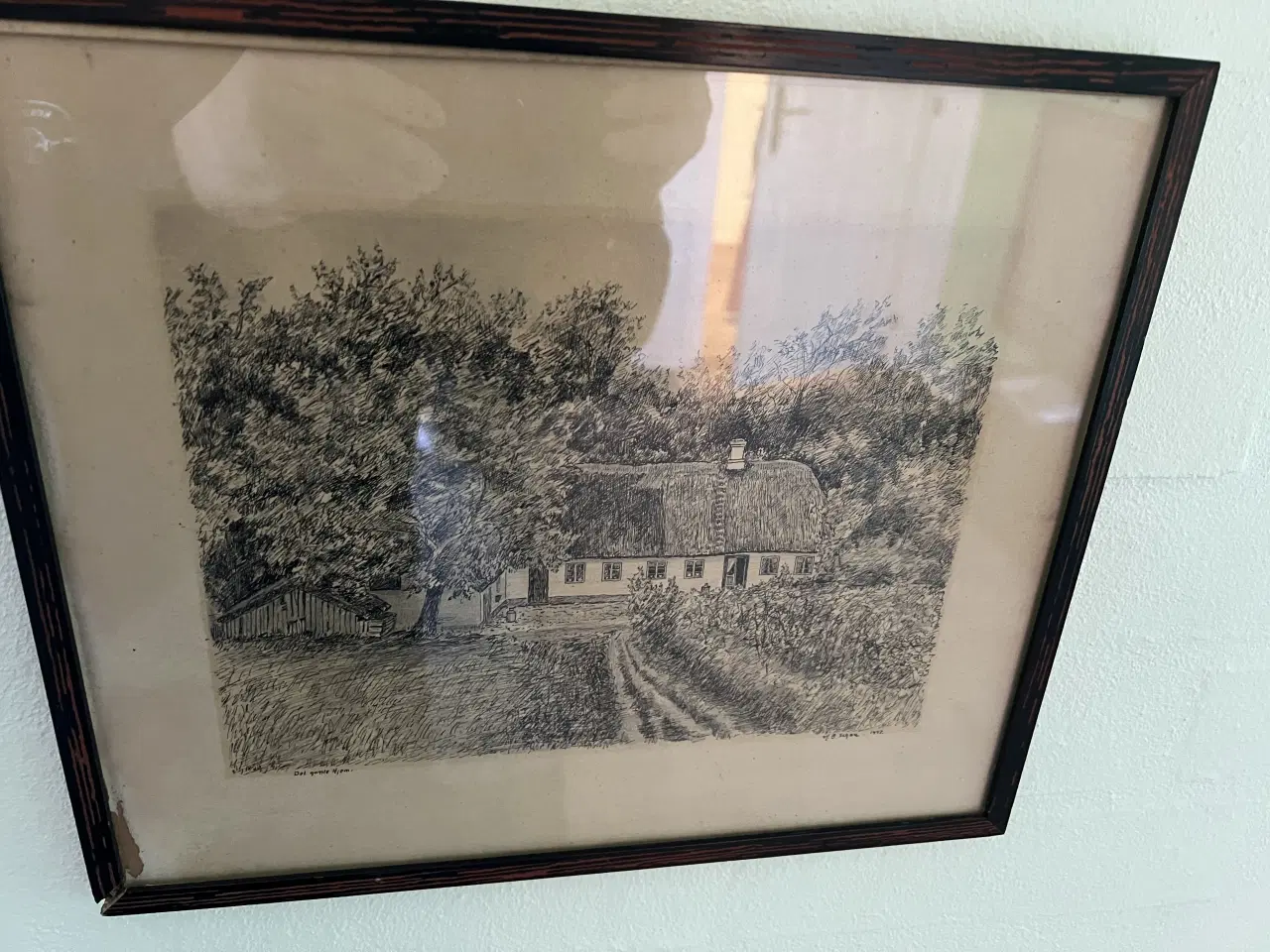 Billede 3 - Gamle billeder