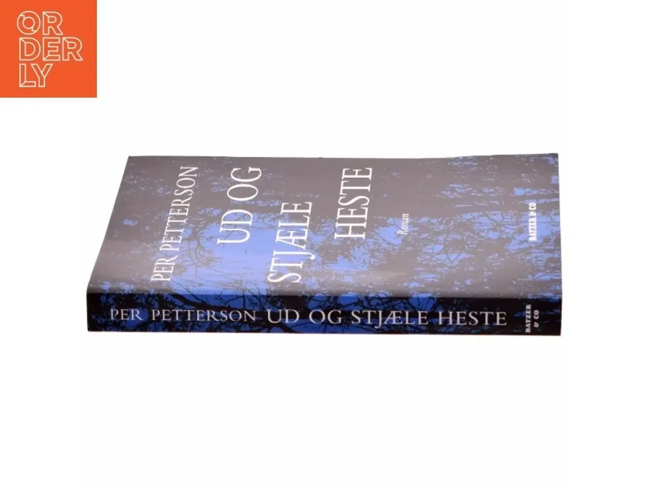 Billede 2 - Ud og stjæle heste : roman (Bog)
