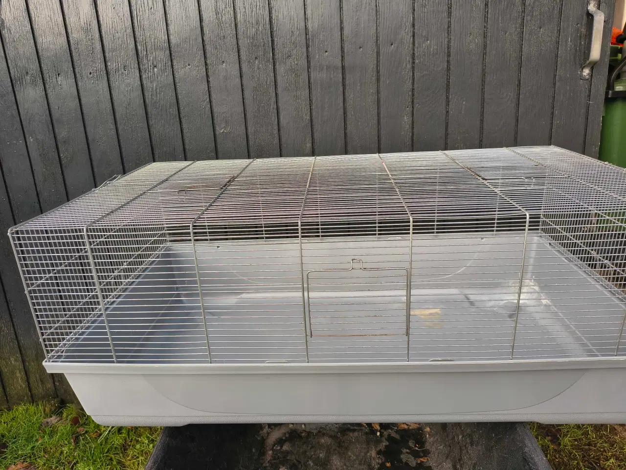 Billede 2 - Marsvin buer