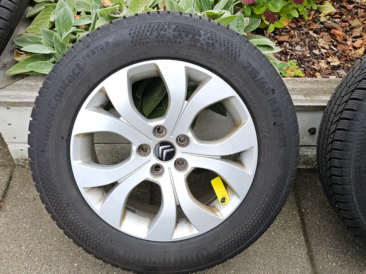 Billede 5 - 17” org. Citroen C5 alufælge + conti vinter dæk