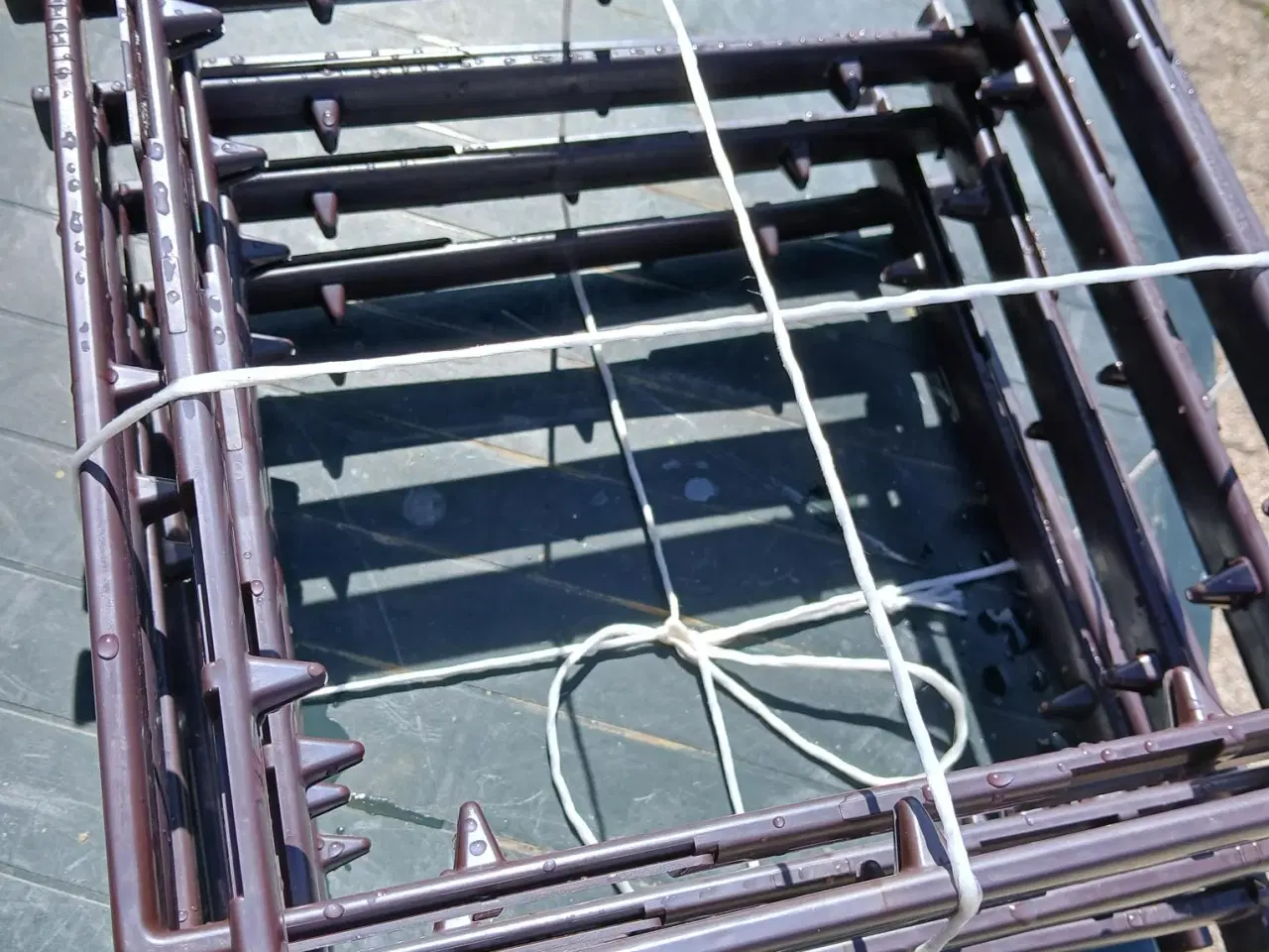 Billede 1 -  8 stk. Beesnapp 12 x 10 plastik rammer