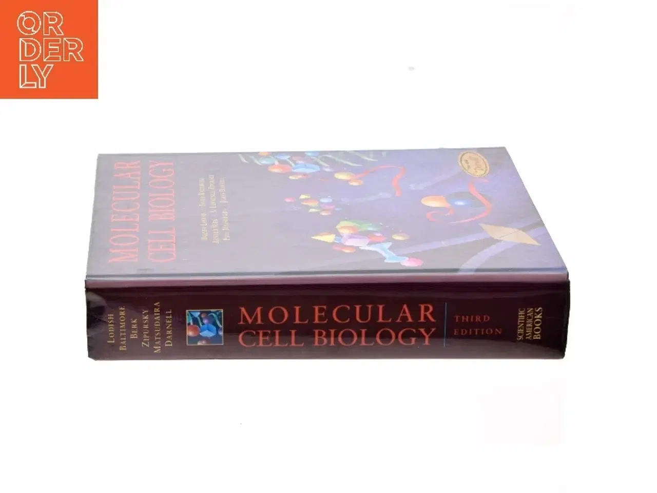 Billede 2 - Molecular cell biology (Bog)