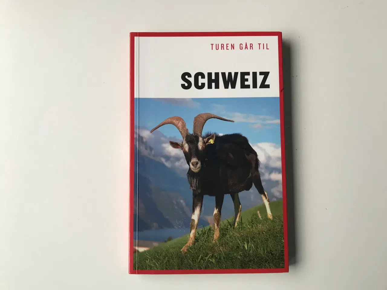 Billede 1 - Turen går til Schweiz