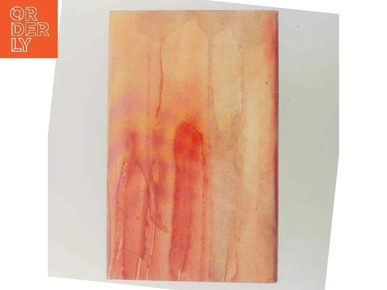 Billede 3 - Den yderste grænse af Kirsten Thorup fra Gyldendals Bogklub af Kirsten Thorup (Bog)