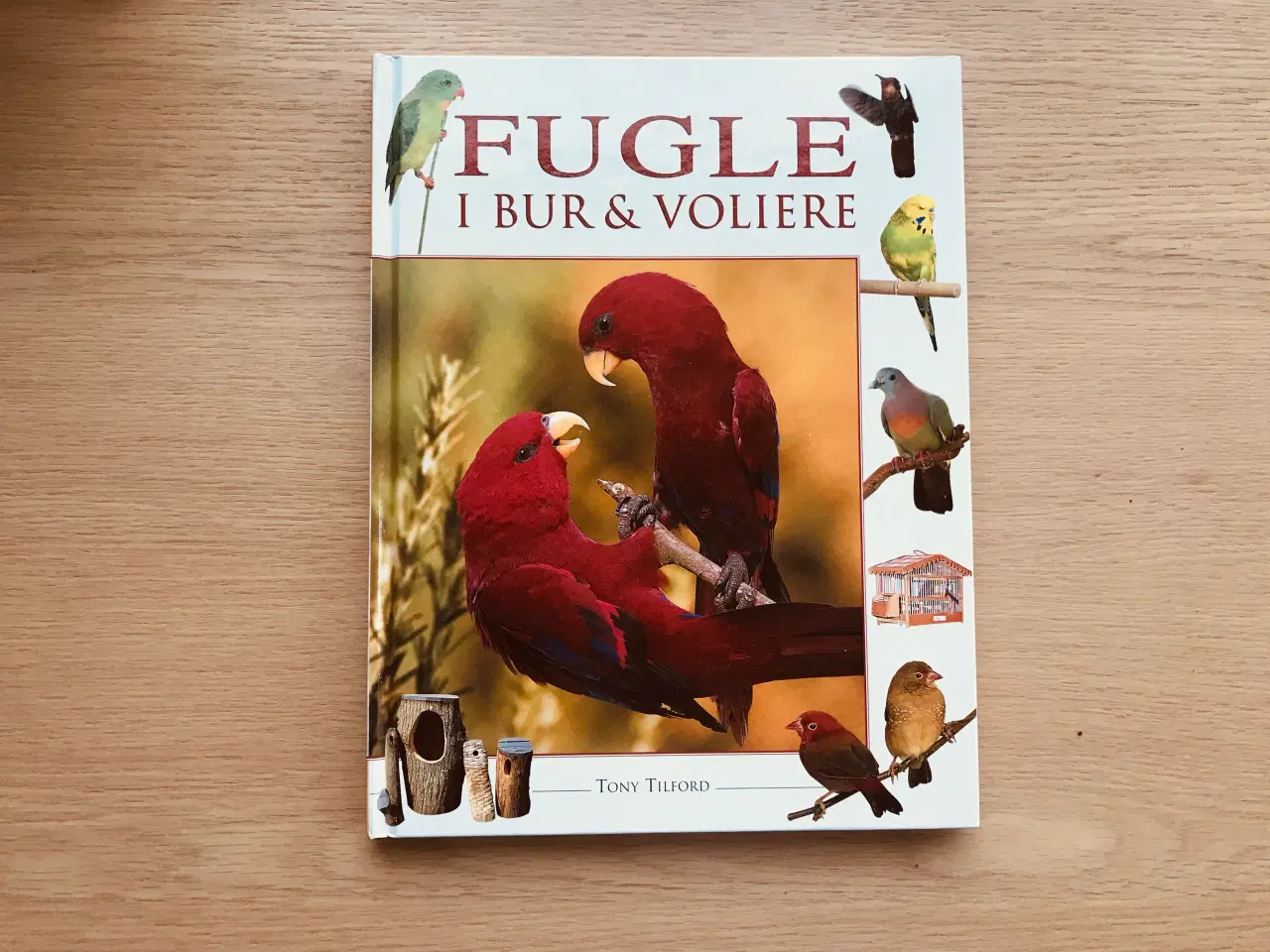 Billede 1 - Fugle i bur & voliere  