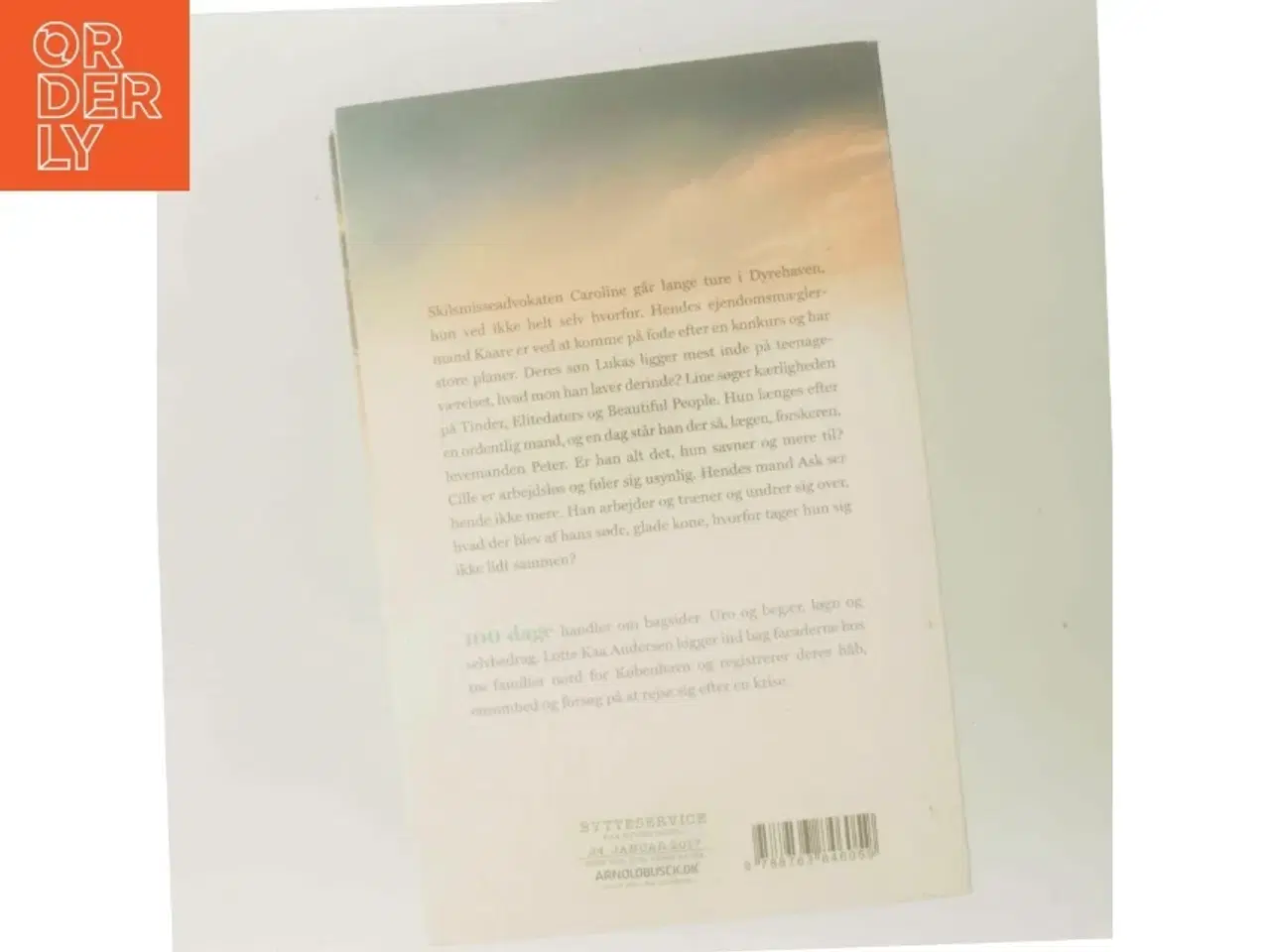 Billede 3 - 100 dage : roman af Lotte Kaa Andersen (Bog)