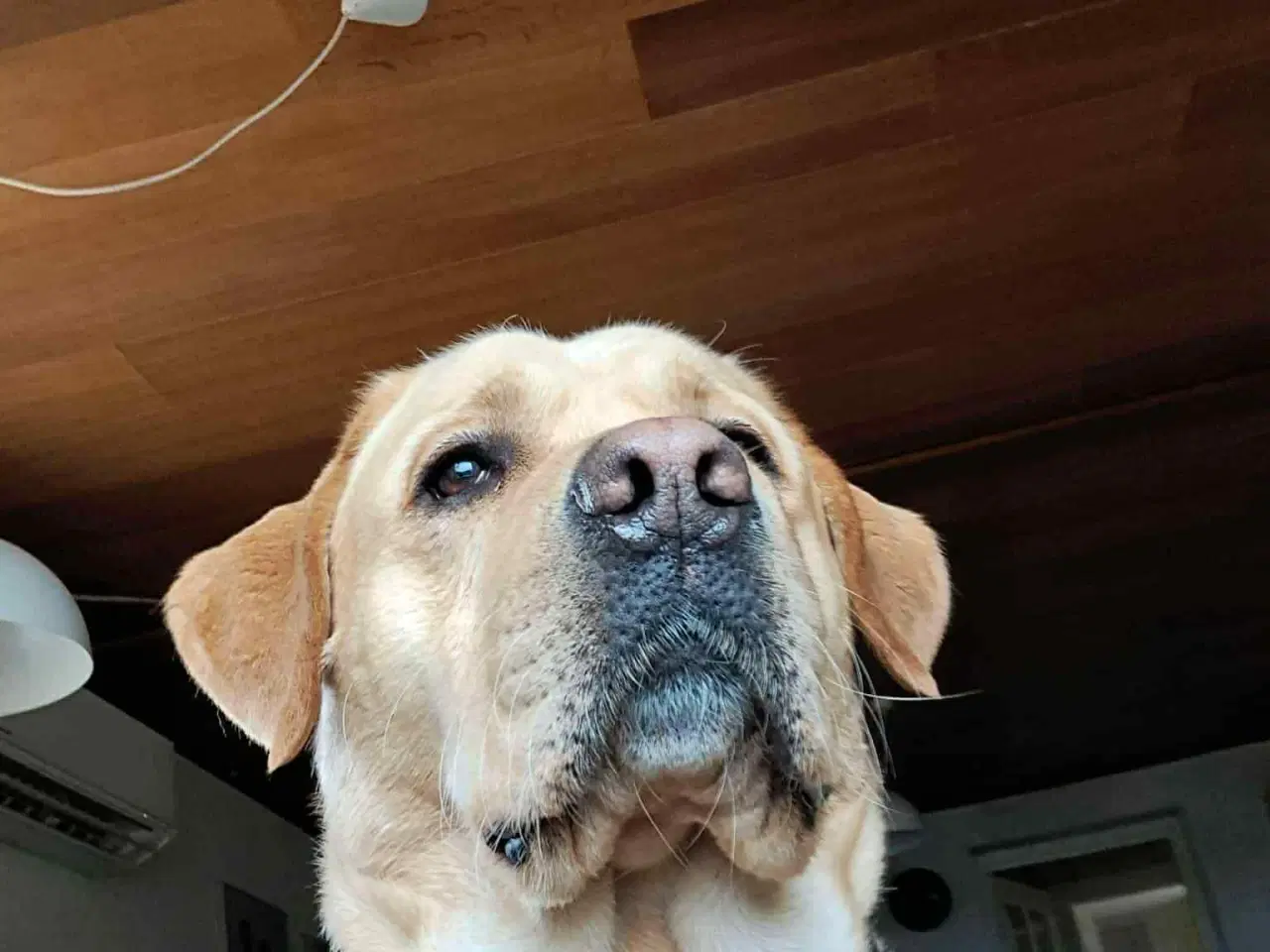 Billede 4 - Mangler du en blød julegave til familien 