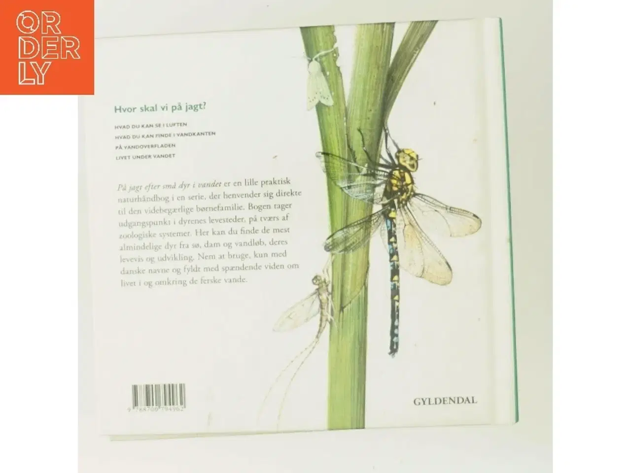 Billede 3 - På jagt efter små dyr i vandet af Peter Nielsen (Bog)