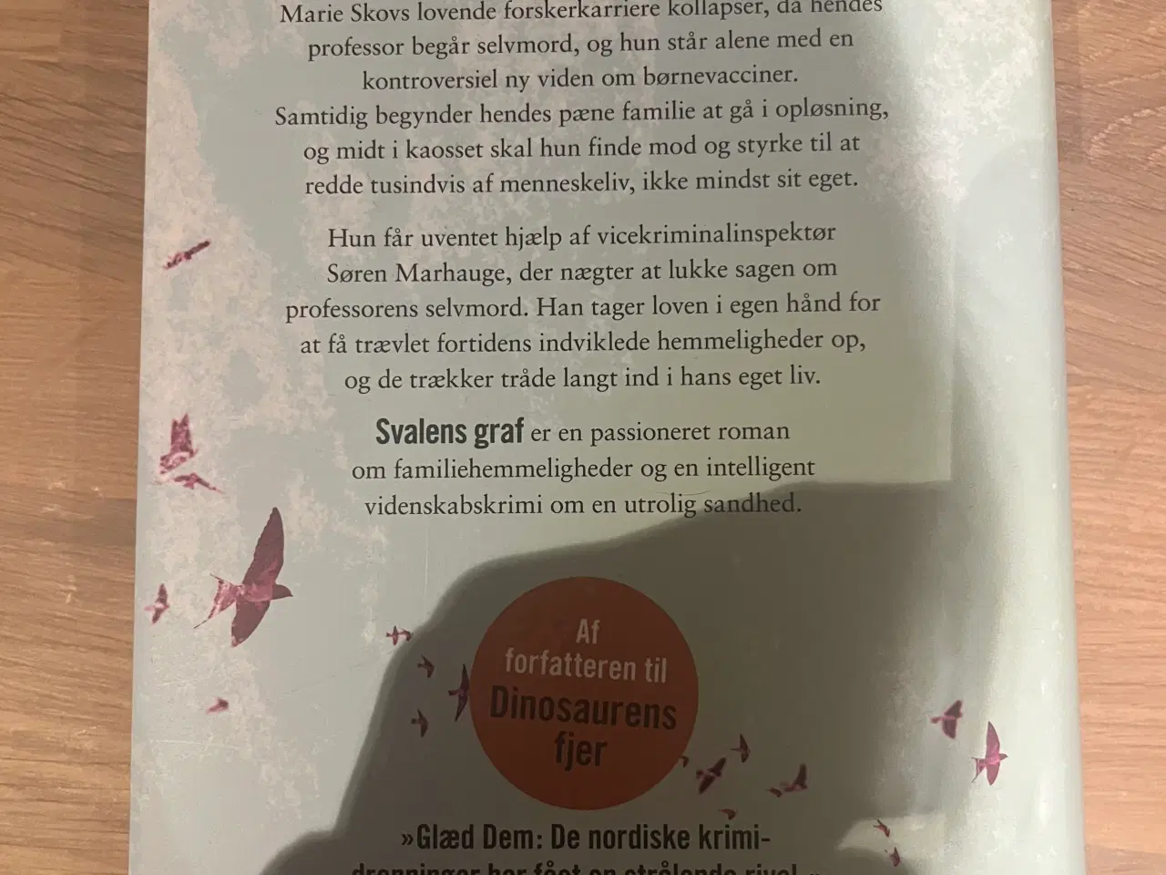 Billede 2 - Sissel-Jo Gazan - Svalens Graf