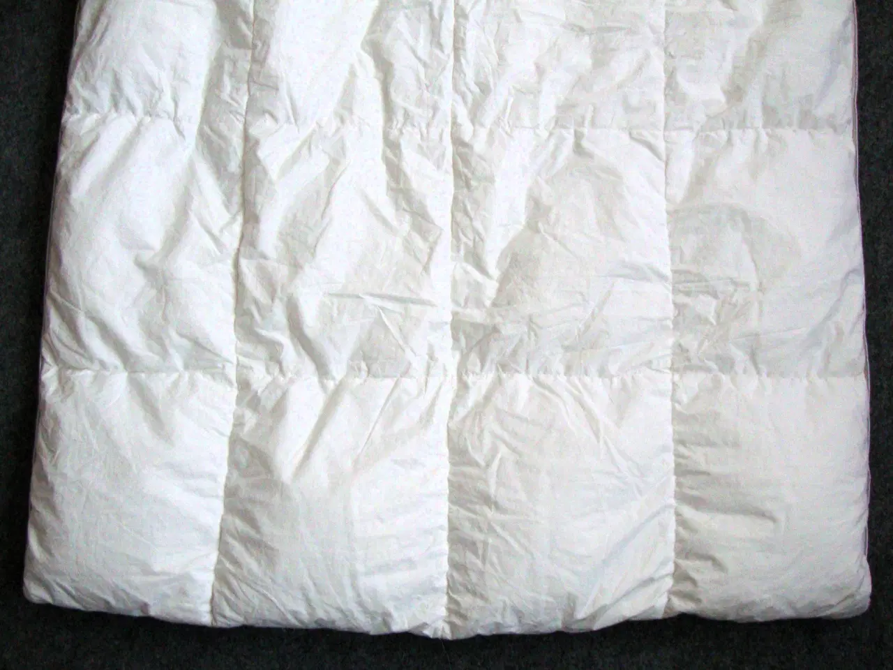 Billede 5 - Juniordyne, Stella Polaris Delfinen