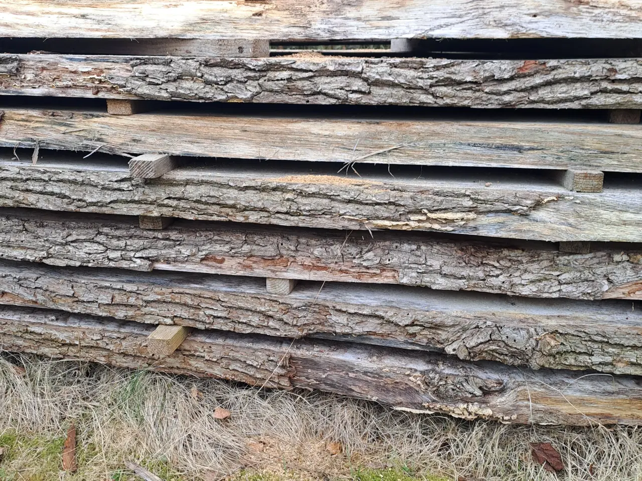 Billede 4 - Ege træ planker