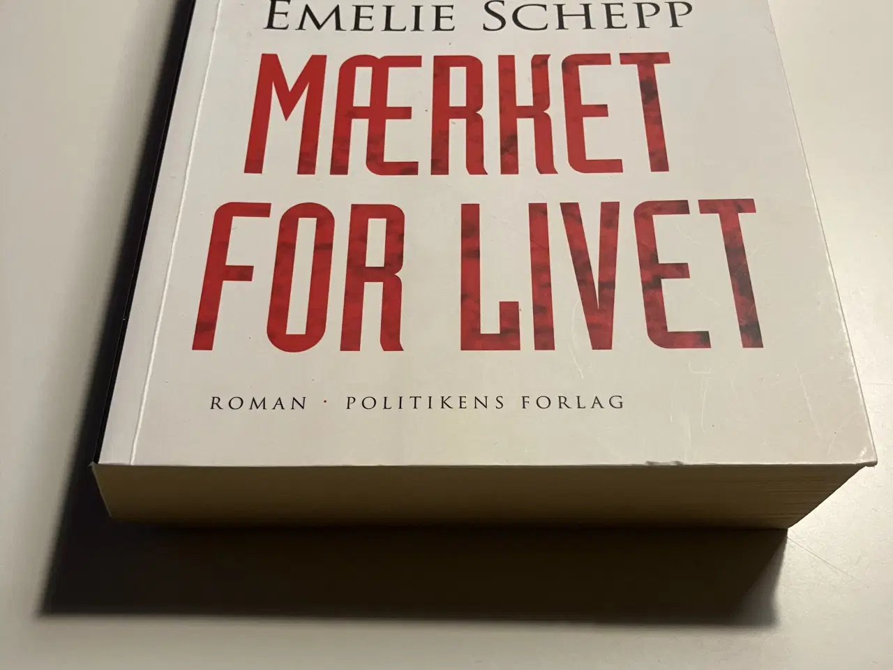 Billede 4 - Mærket for livet. Af Emelie Schepp