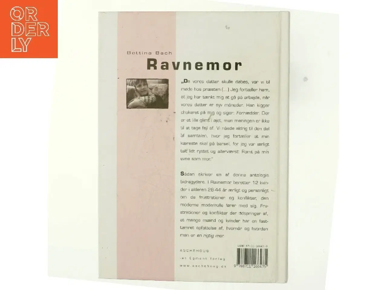 Billede 3 - Ravnemor : 12 beretninger om moderskab og arbejdsliv af Bettina Bach (Bog)