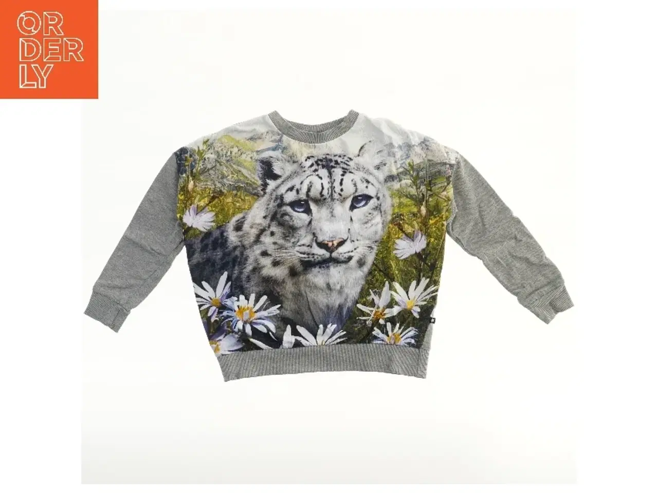Billede 1 - Molo sweatshirt med sneleopardprint (str. 128)