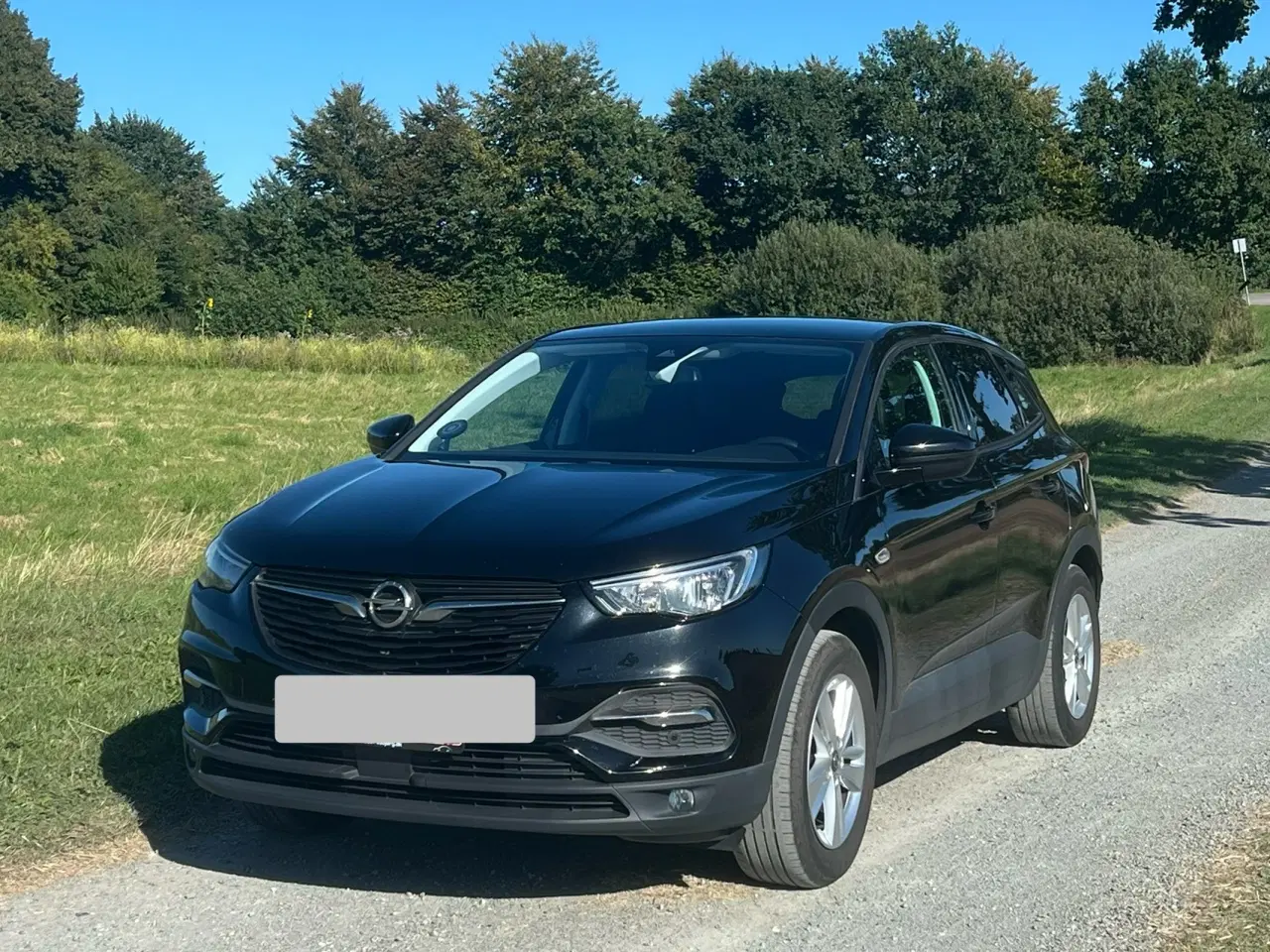 Billede 3 - Opel Grandland X 1,2 Direct Injection Turbo Enjoy 