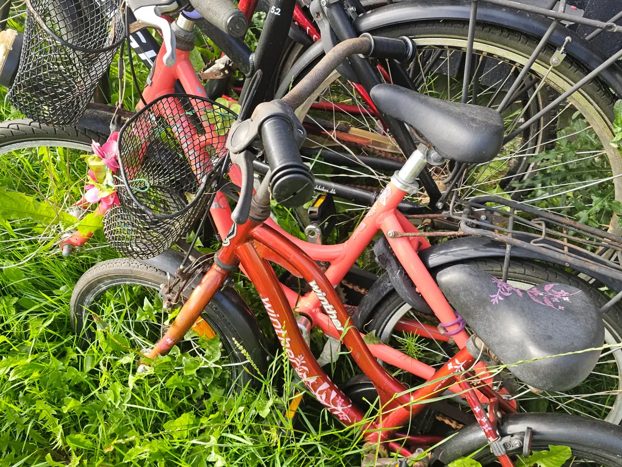 Billede 6 - Cykler – 100kr stk.