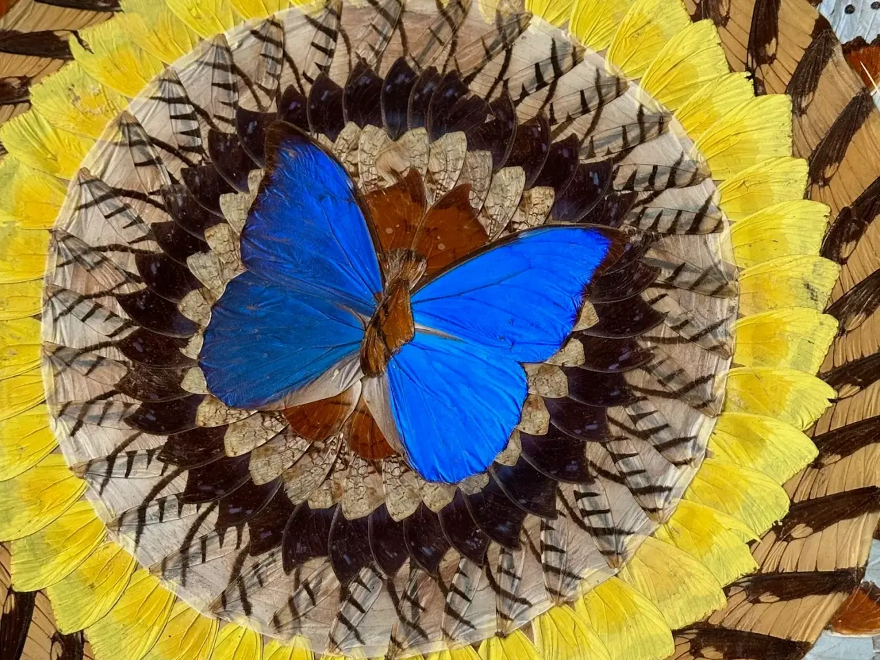 Billede 2 - Metalfad m sommerfugle