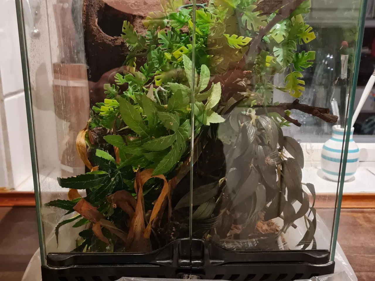 Billede 1 - Exo Terra terrarium 