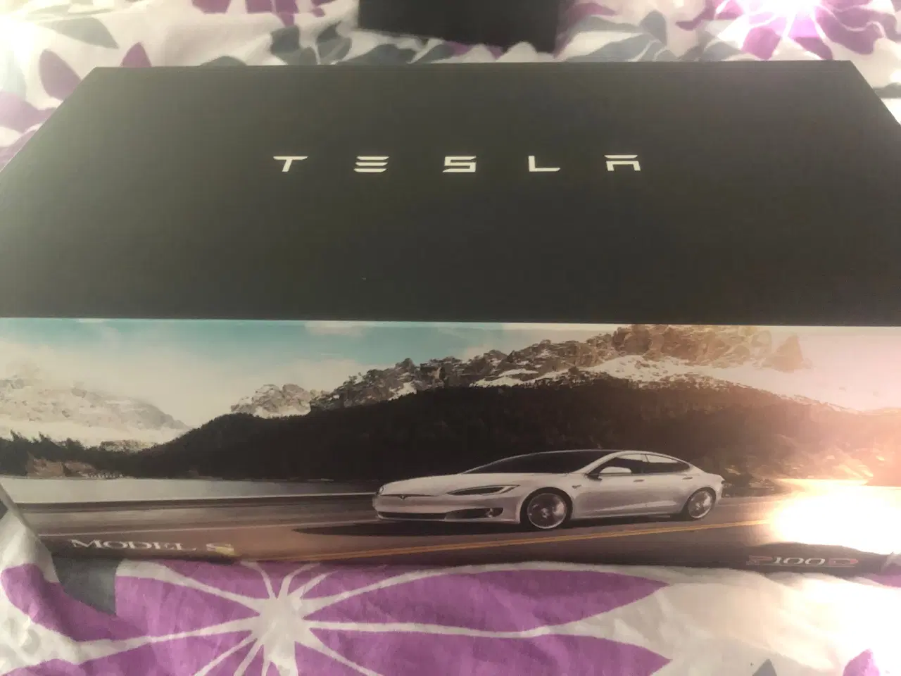 Billede 11 - Tesla model S P100D