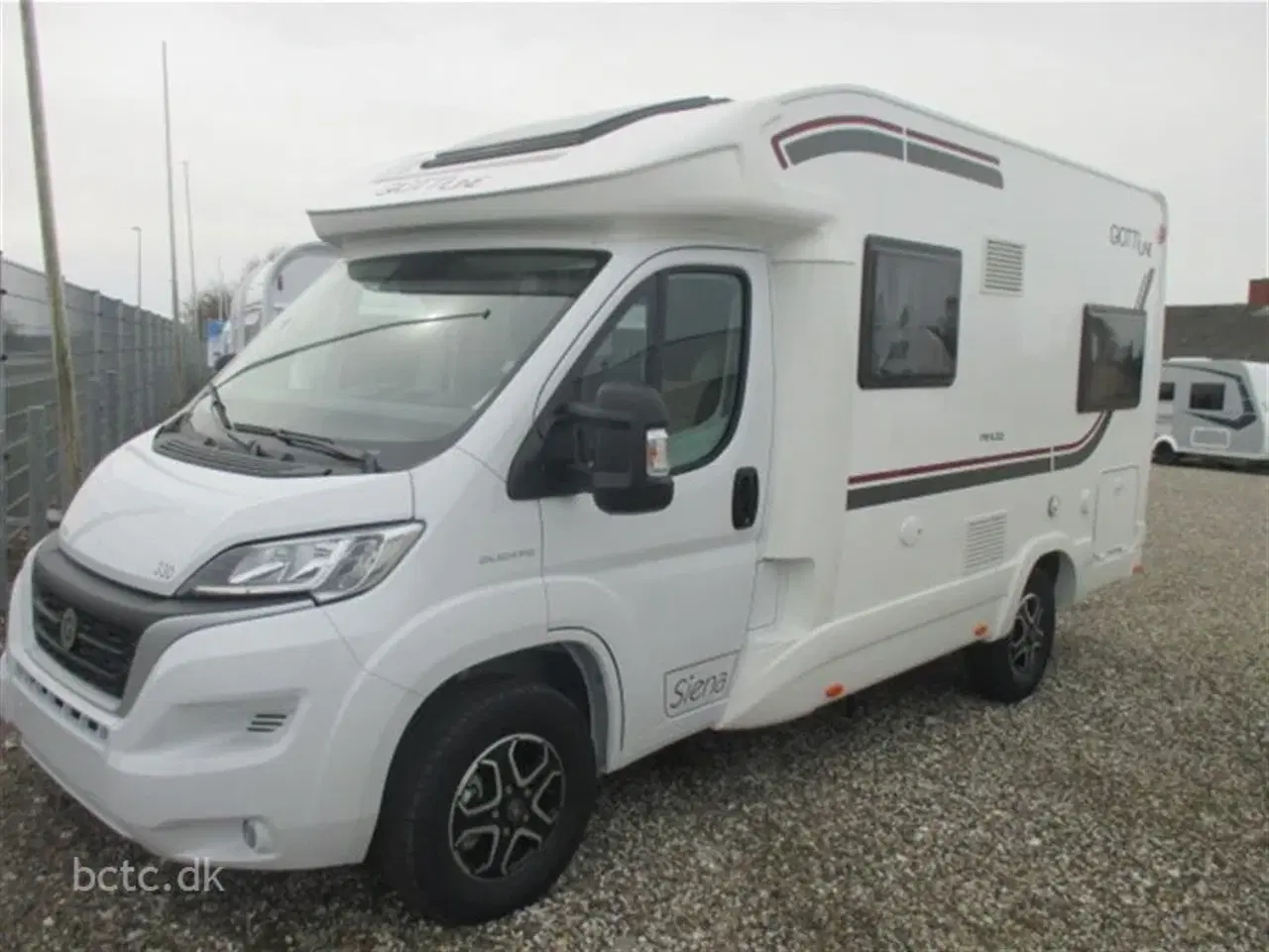 Billede 1 - 2022 - Giottiline Sienna