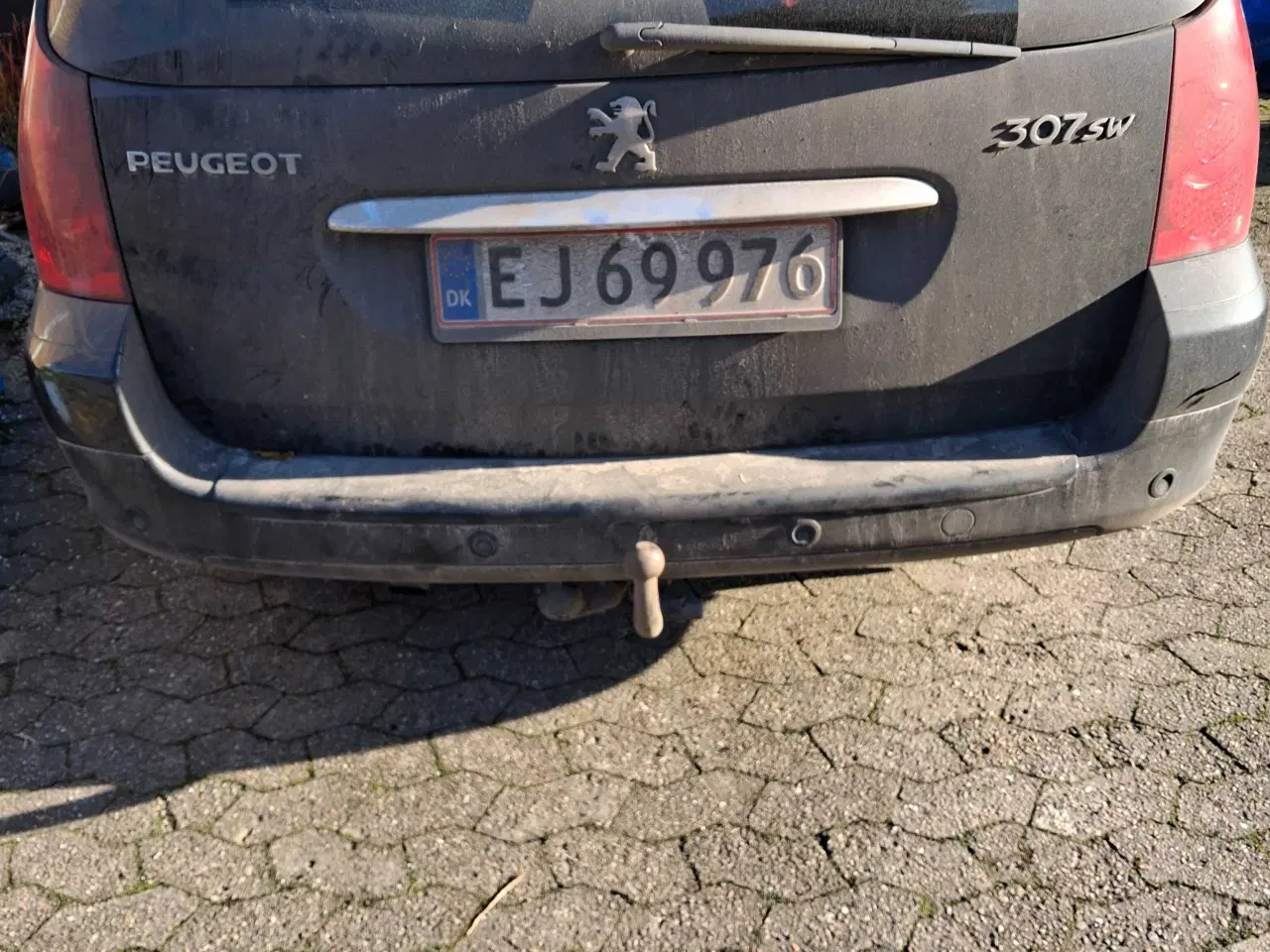 Billede 2 - 307 hdi mpv