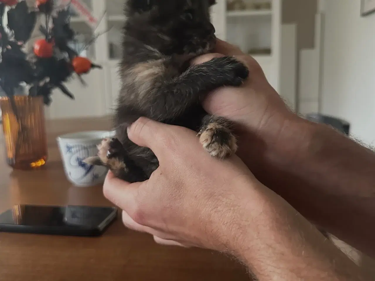 Billede 2 - Kattekilling