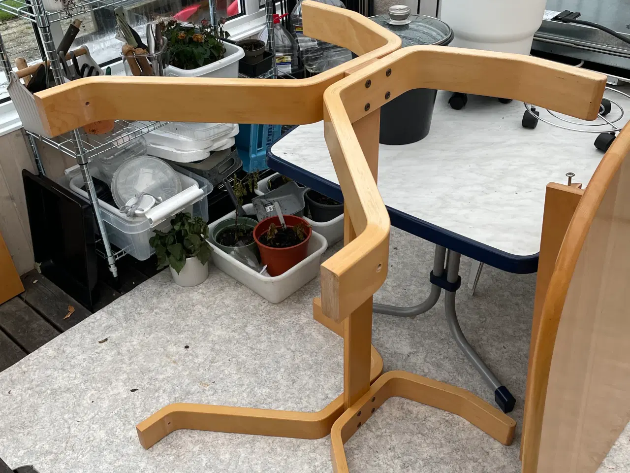 Billede 2 - Bøgetræ spisebord med frisvinger stole