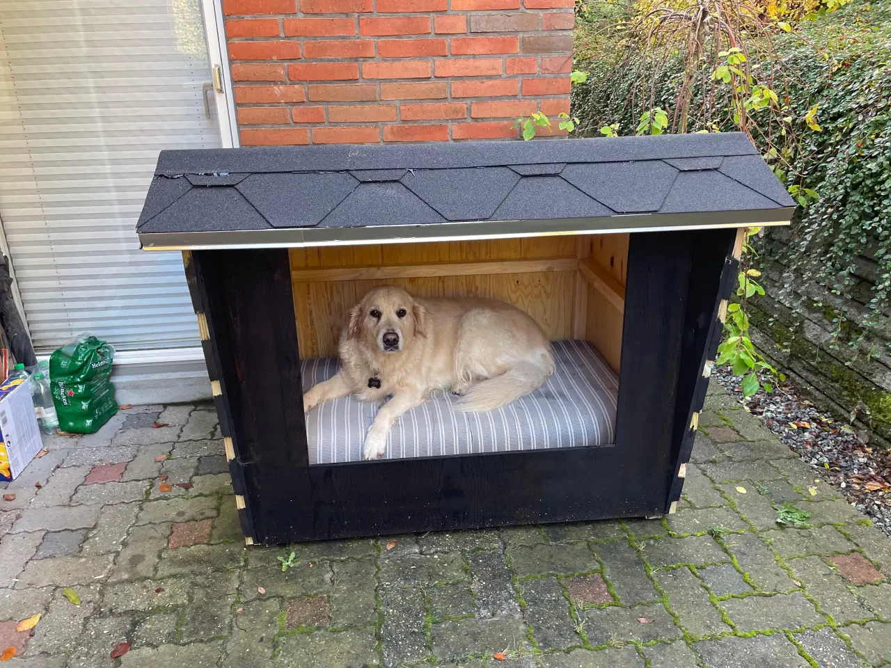 Billede 1 - Hundehus som shelter