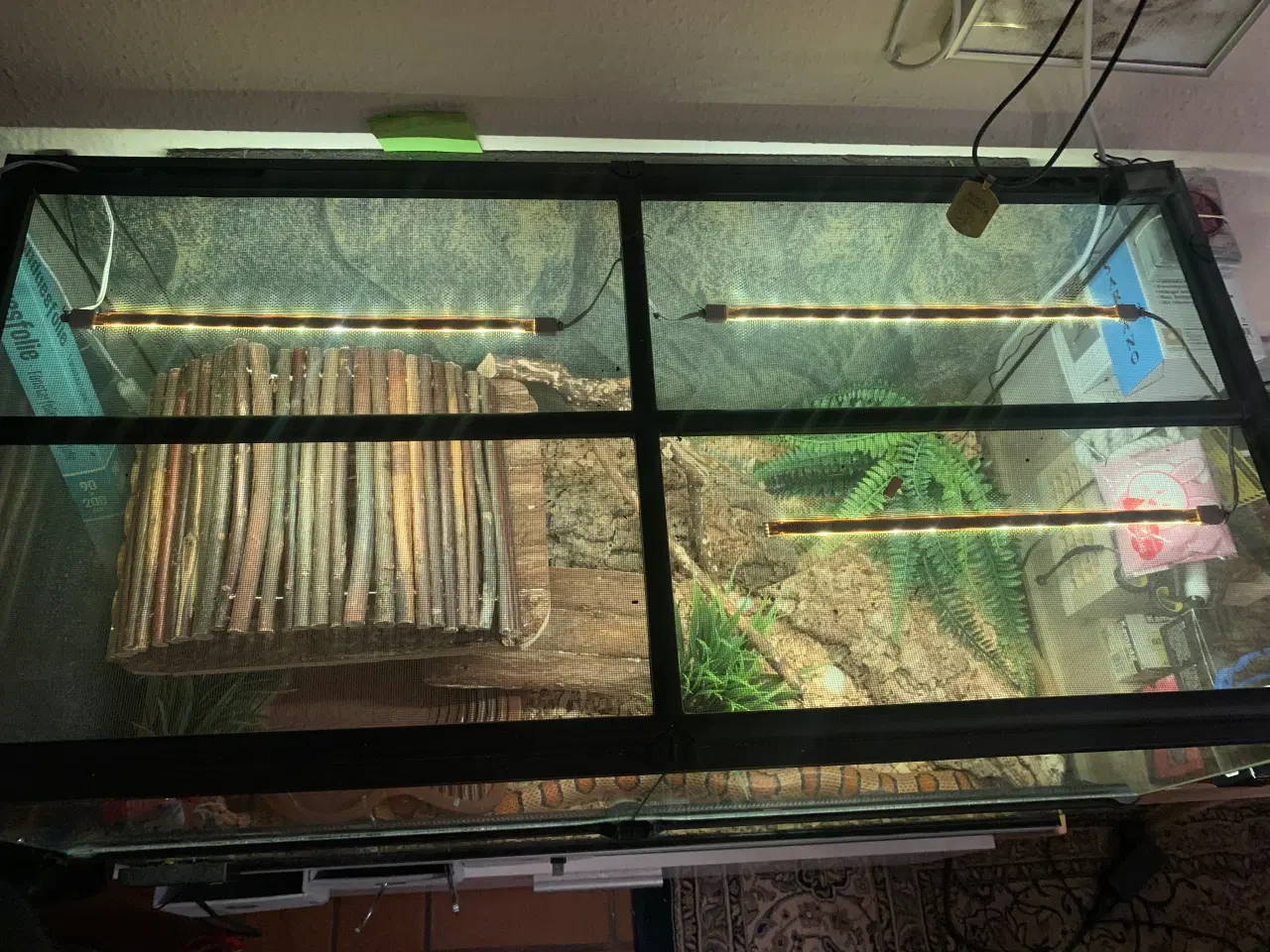 Billede 3 - Kornsnog sælges er 3 år til marts d