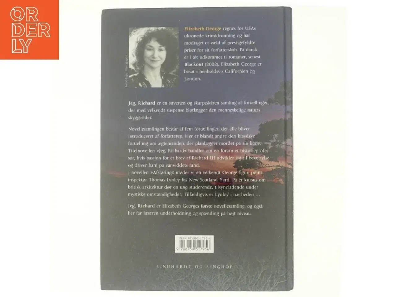 Billede 3 - Jeg, Richard af Elizabeth George (Bog)