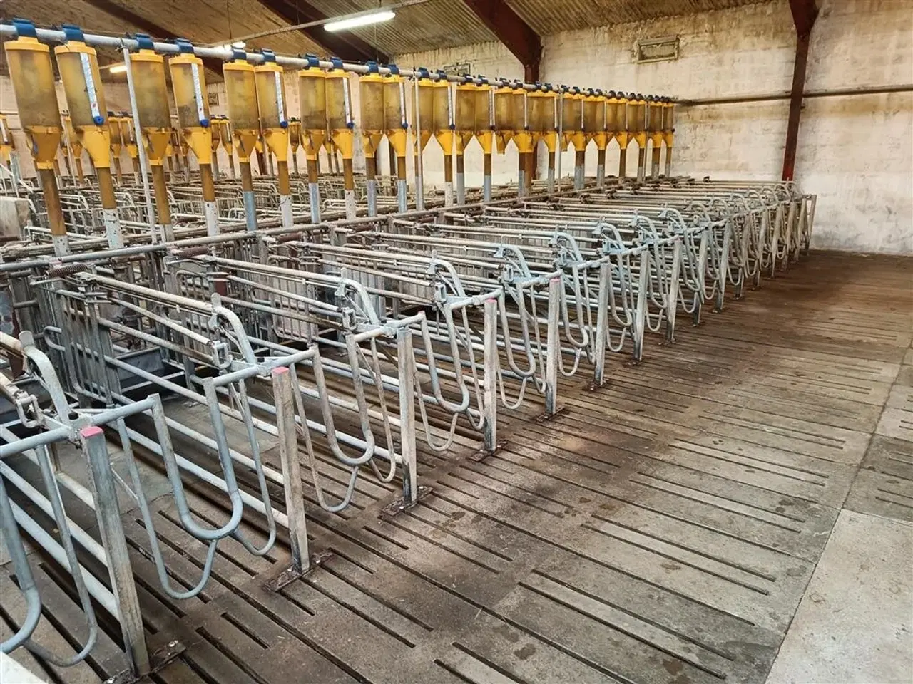 Billede 7 - - - - Egebjerg Æde / hvile boks ca. 400 stk.